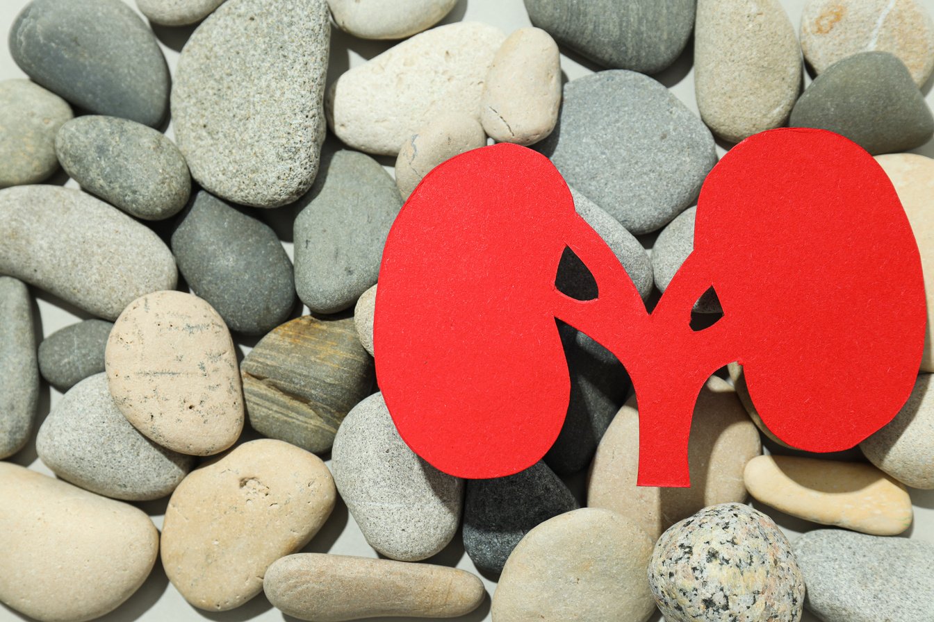 Kidneys on the sand with stones, National Kidney Month.